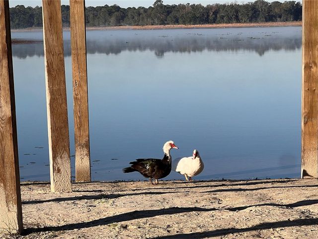 Lot 25 SW TIMBERLAKE ROAD, Dunnellon, FL 34431