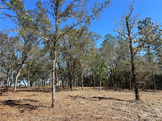 Lot 25 SW TIMBERLAKE ROAD, Dunnellon, FL 34431