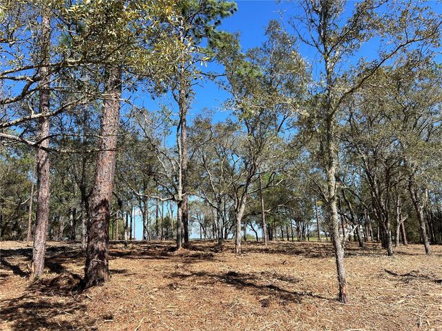 Lot 25 SW TIMBERLAKE ROAD, Dunnellon, FL 34431
