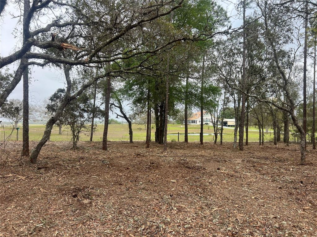 Lot 25 SW TIMBERLAKE ROAD, Dunnellon, FL 34431