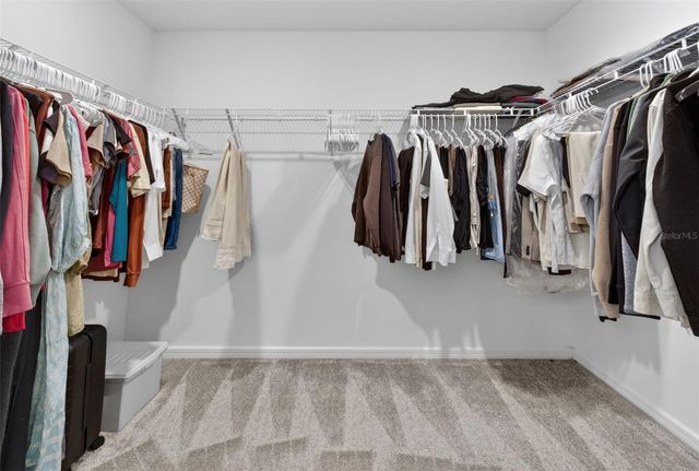 18132 RAMBLE ON WAY, Land O Lakes, FL 34638