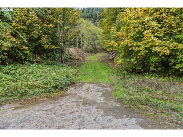 E State Route 4, Cathlamet, WA 98612