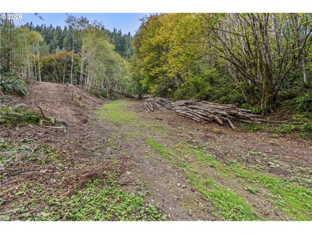 E State Route 4, Cathlamet, WA 98612