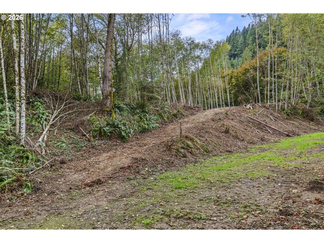 E State Route 4, Cathlamet, WA 98612
