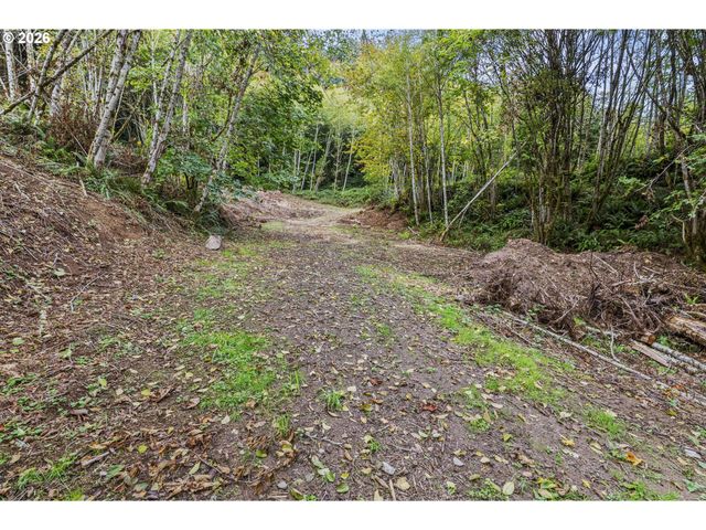 E State Route 4, Cathlamet, WA 98612