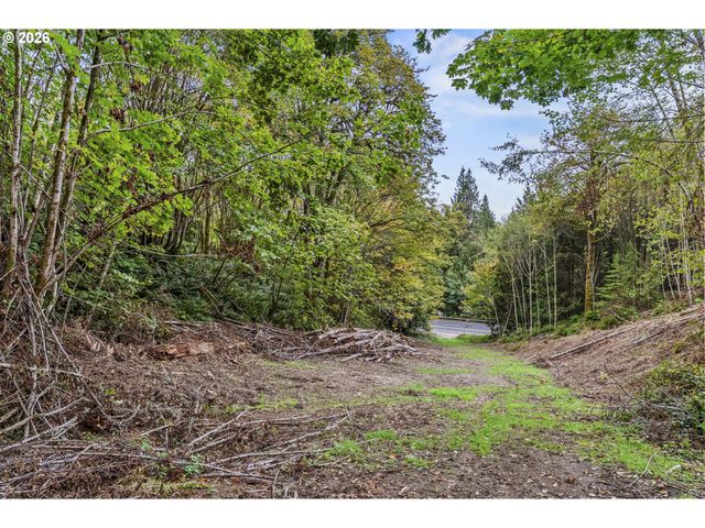 E State Route 4, Cathlamet, WA 98612