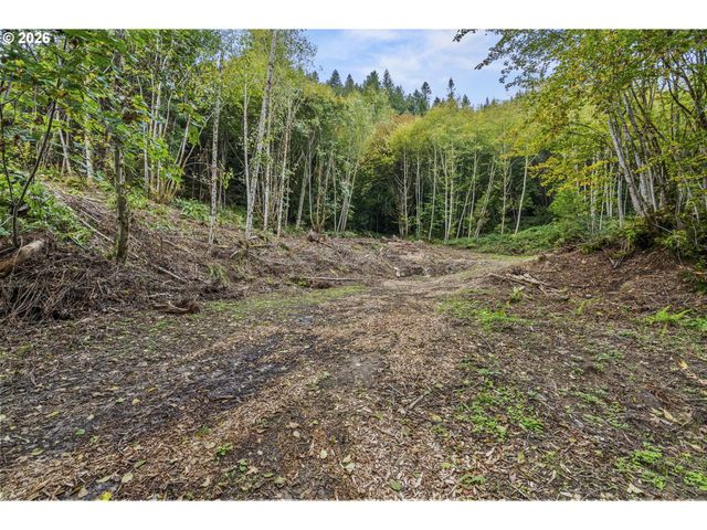 E State Route 4, Cathlamet, WA 98612