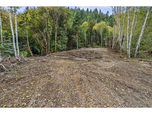 E State Route 4, Cathlamet, WA 98612