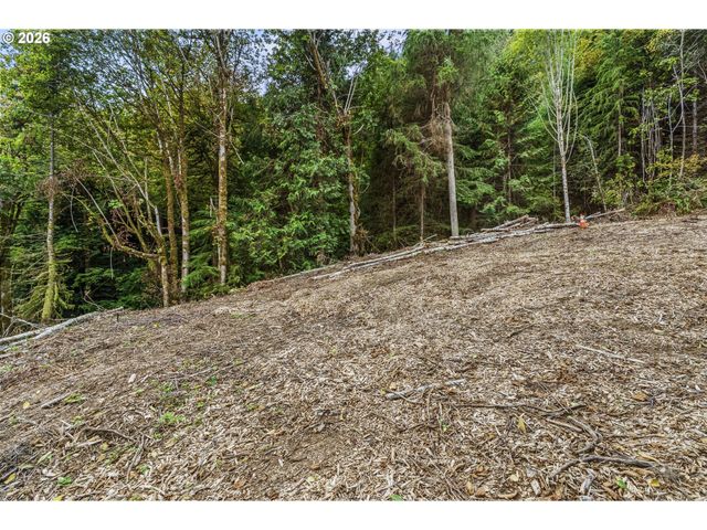 E State Route 4, Cathlamet, WA 98612