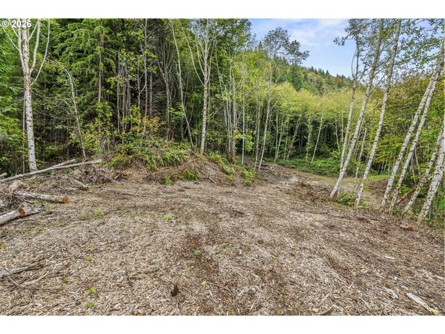 E State Route 4, Cathlamet, WA 98612