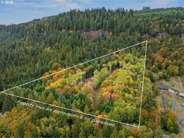 E State Route 4, Cathlamet, WA 98612
