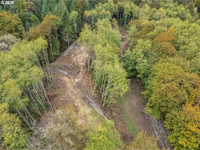 E State Route 4, Cathlamet, WA 98612