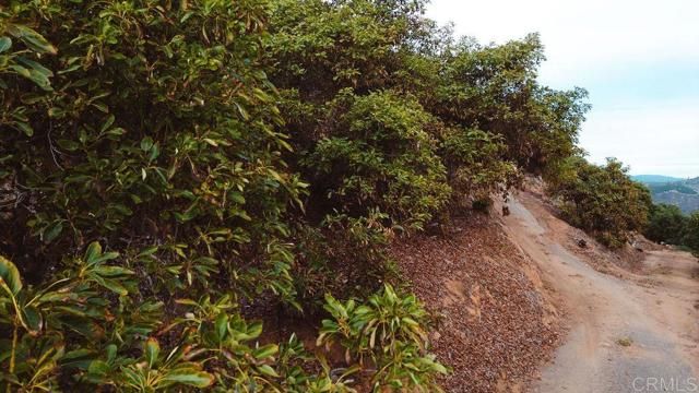 1411 Wild Acres Rd., Vista, CA 92084