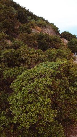 1411 Wild Acres Rd., Vista, CA 92084