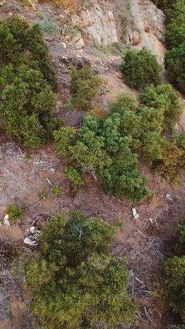 1411 Wild Acres Rd., Vista, CA 92084