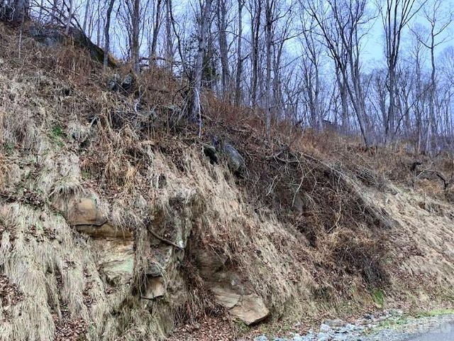 89 Weeping Cherry Forest Road, Fairview, NC 28730