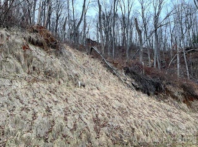 89 Weeping Cherry Forest Road, Fairview, NC 28730