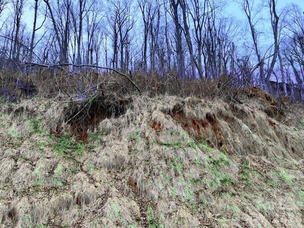 89 Weeping Cherry Forest Road, Fairview, NC 28730