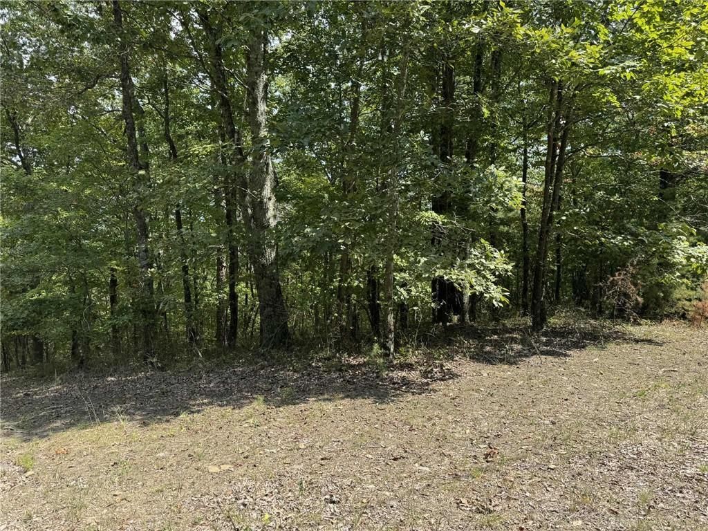 1267 Jewel NE Court, Ranger, GA 30734