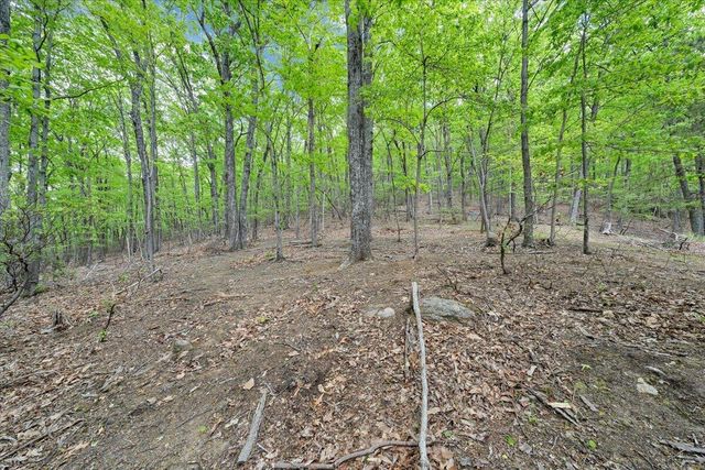 290 Silver Shadow RD, Hardy, VA 24101