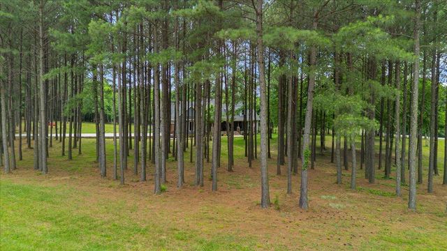 275 Wilderness Drive, Jasper, TN 37347