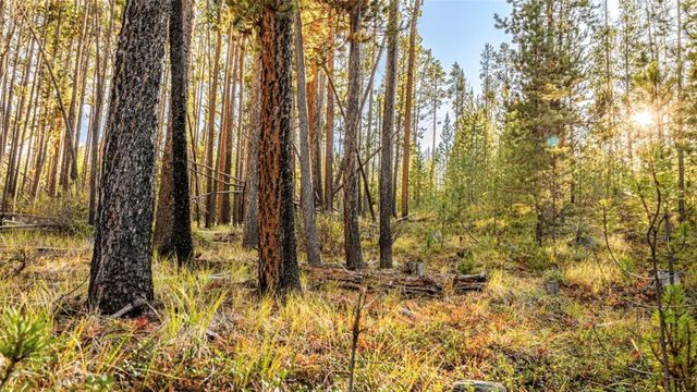 Lot 7 TBD Mitchell Drive, Anaconda, MT 59711 property photo