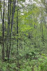0 Old Walpole Road, Keene, NH 03431