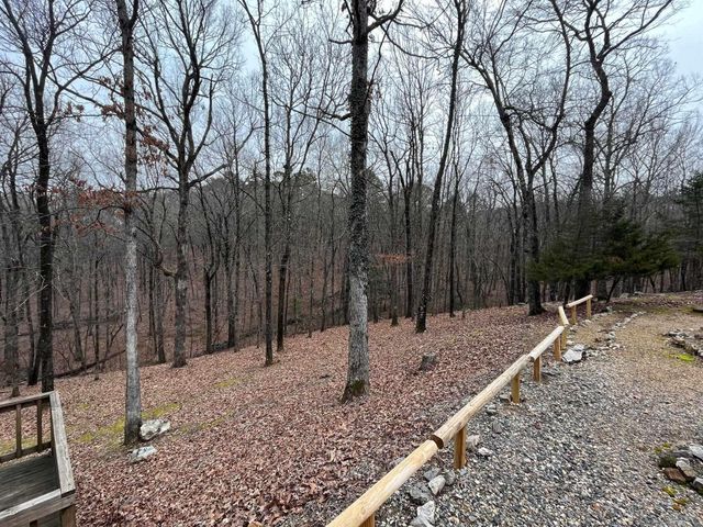 116 Rosewood Ln., Mena, AR 71953