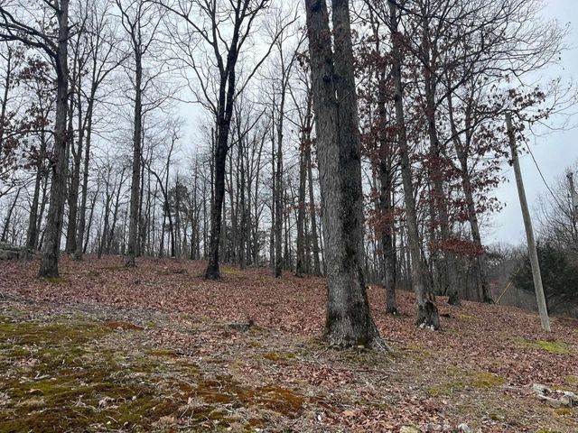 116 Rosewood Ln., Mena, AR 71953