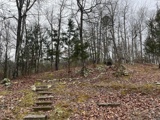 116 Rosewood Ln., Mena, AR 71953