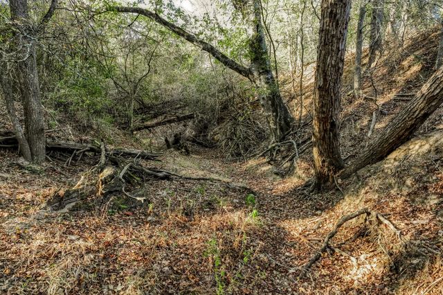 TBD Warda Church Road, Warda, TX 78945