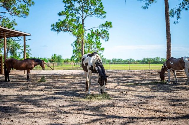 14661 Duke HWY, Alva, FL 33920