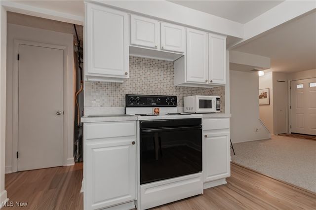 1589 Lee Terrace F7, Wickliffe, OH 44092