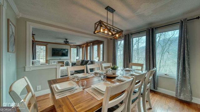 555 Laurel Ridge Drive, Ellijay, GA 30536