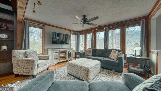 555 Laurel Ridge Drive, Ellijay, GA 30536