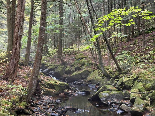 New Hampshire Route 25, Warren, NH 03279