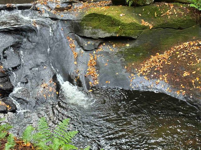 New Hampshire Route 25, Warren, NH 03279