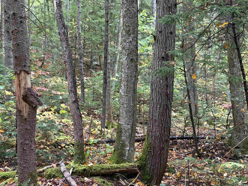 New Hampshire Route 25, Warren, NH 03279