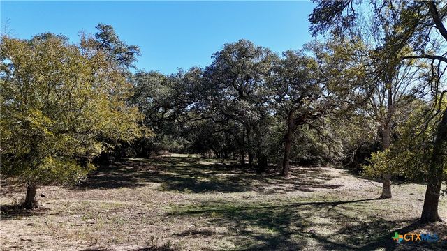 TBD Holub Road, Schulenburg, TX 78956