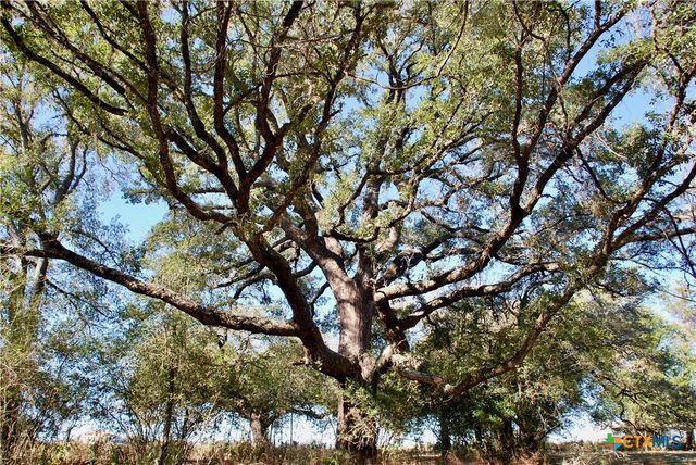 TBD Holub Road, Schulenburg, TX 78956