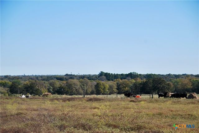 TBD Holub Road, Schulenburg, TX 78956