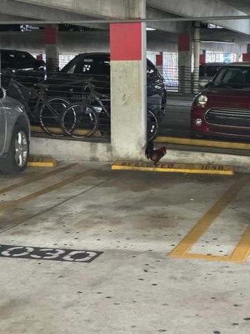 850 N Miami Ave 703, Miami, FL 33136