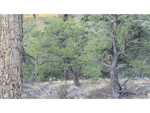 5106 Redler Rd, Fort Garland, CO 81133