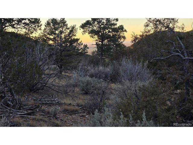 5106 Redler Rd, Fort Garland, CO 81133