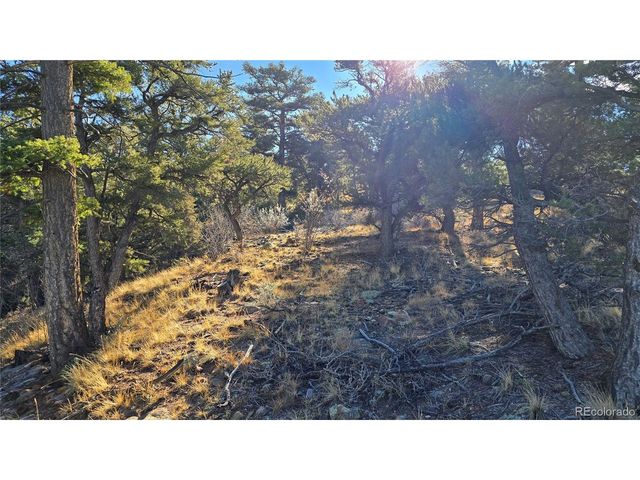 5106 Redler Rd, Fort Garland, CO 81133