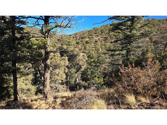 5106 Redler Rd, Fort Garland, CO 81133