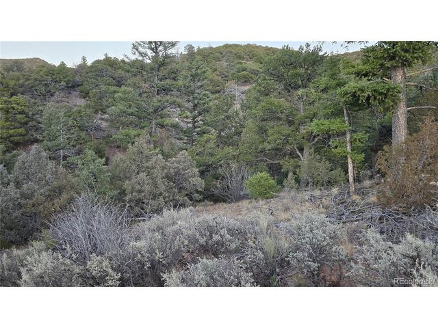 5106 Redler Rd, Fort Garland, CO 81133