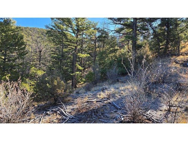 5106 Redler Rd, Fort Garland, CO 81133