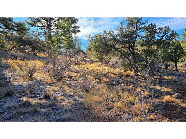 5106 Redler Rd, Fort Garland, CO 81133