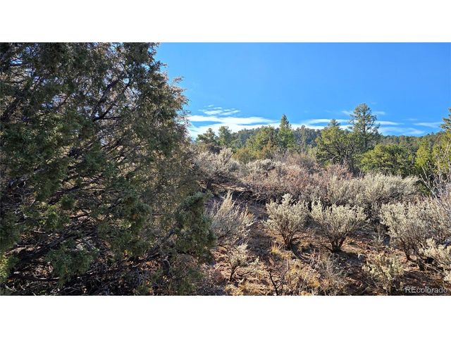 5106 Redler Rd, Fort Garland, CO 81133